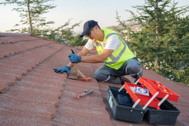 Best Roof Repair Services  in Von Ormy, TX